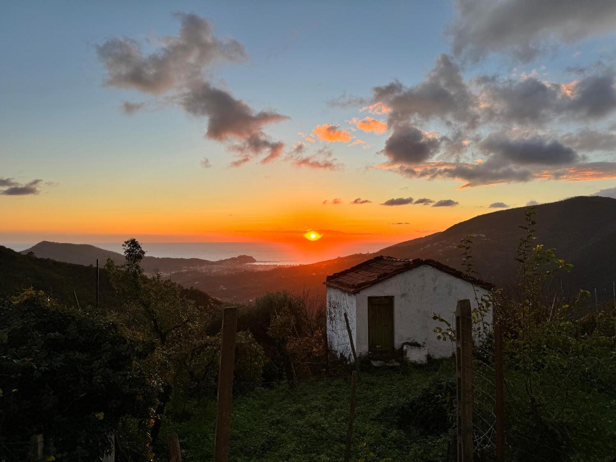 La Collina Sul Mare - Casa Vacanze Сестри Леванте Екстериор снимка