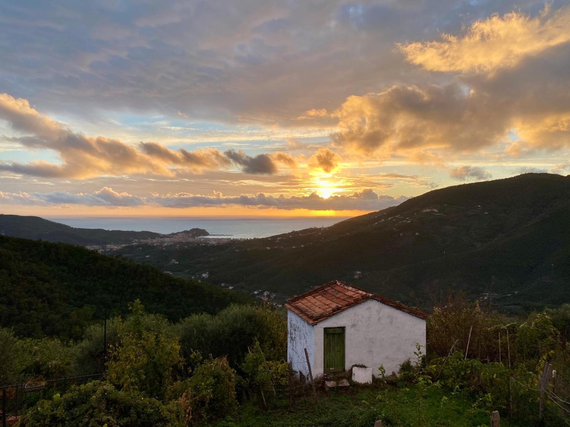 La Collina Sul Mare - Casa Vacanze Сестри Леванте Екстериор снимка